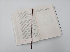 Michaela Meßner, Amelie Thoma, Joël Dicker: Ein ungezähmtes Tier 