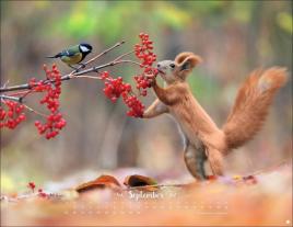 Vadim Trunov: Vadim Trunov: Märchenhaftes Waldleben Posterkalender 2026 