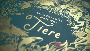 Ben Hoare, Daniel Long, Angela Rizza, Eva Sixt, Daniela Terrazzini, DK Verlag - Kids: Wundervolle Welt der Tiere 