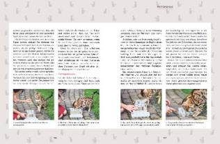 Carmen Schell: Wie wir Katzen glücklich machen 