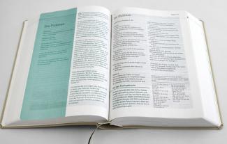Joyce Meyer: Die Bibel mit Impulsen von Joyce Meyer, Kunstlederausgabe 
