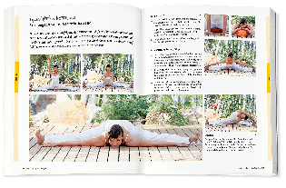Inge Schöps: Yoga - Das große Praxisbuch für Einsteiger & Fortgeschrittene 