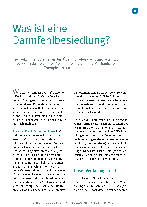 Gabriela Hoppe: Therapieleitfaden SIBO 