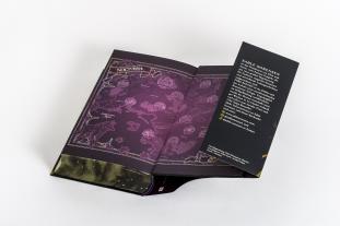 Nadine Pauli, Julia Schwenk, Sable Sorensen: Dire Bound 