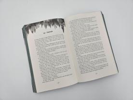 Nadine Lipp, Isabelle Toppe, Penelope Douglas: Credence – Sie ist tabu, doch Liebe kennt keine Regeln 