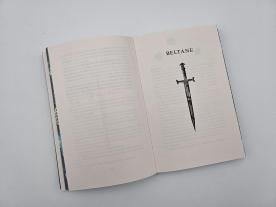 Kira Licht: Crimson Sky – Der Schattenprinz 