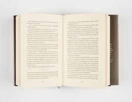 Julia Dippel: Izara 1: Das ewige Feuer 