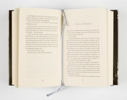 Julia Dippel: Izara 4: Verbrannte Erde 