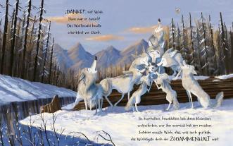 Rachel Bright, Jim Field: Kleiner Wolf in weiter Welt 