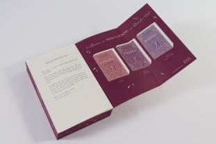 Alexandra Flint: Mont Lacroix (Band 1) - Longing for Lelibeth 