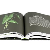Lauren Camilleri, Sophia Kaplan: Plantopedia 