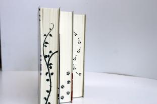 Christina Henry: Die Chroniken von Alice - Die Schwarze Königin 