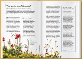 Holly Farrell, Gareth Richards, LV. Buch: Wie verdienen Würmer ihren Lebensunterhalt? 
