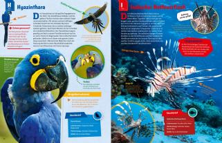 Andrea Weller-Essers: WAS IST WAS Geniale Tiere ... und ihre Tricks 