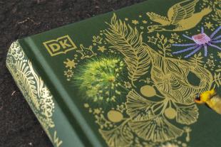 Ben Hoare, DK Verlag - Kids: Wundervolle Welt der Natur 