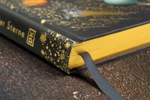 Will Gater, Daniel Long, Angela Rizza, DK Verlag - Kids: Wundervolle Welt der Sterne 