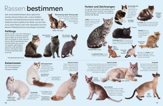 Susanne Schmidt-Wussow, DK Verlag - Kids, Juliet Clutton-Brock: memo Wissen. Katzen 