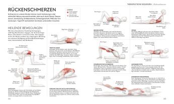 Wiebke Krabbe, Silke Schütze, DK Verlag, Ann Swanson: Yoga verstehen - Die Anatomie der Yoga-Haltungen 