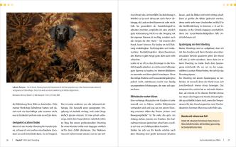 Regine Heuser, Heuser Regine: Hunde-Shooting - Fotografieren mit „Wau-Effekt“ 