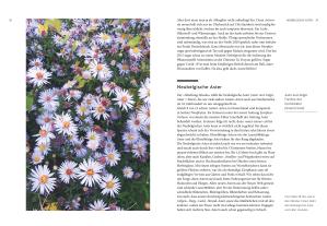 Jürgen Feder: Der Segen der Einwanderer 