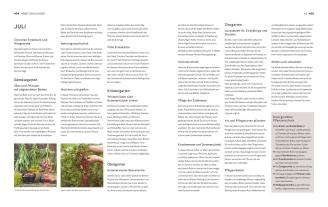 Marie-Luise Kreuter: Der Biogarten 