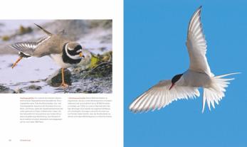 Konrad Wothe, Peter Berthold, Peter Prof. Dr. Berthold: Unsere einzigartige Vogelwelt 