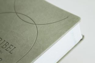 Joyce Meyer: Die Bibel mit Impulsen von Joyce Meyer, Kunstlederausgabe 