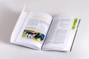 Nicole Brinkmann: Nähe und Distanz in der Hundeerziehung 