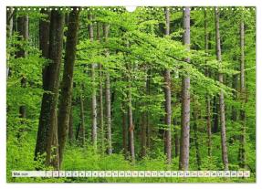 CALVENDO, Christian Horstkötter: Hegau-Landschaften (Wandkalender 2026 DIN A3 quer), CALVENDO Monatskalender 