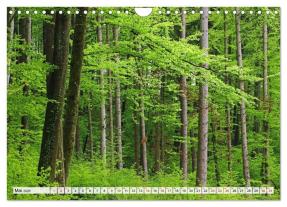 CALVENDO, Christian Horstkötter: Hegau-Landschaften (Wandkalender 2026 DIN A4 quer), CALVENDO Monatskalender 