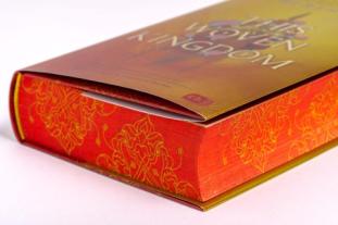 Barbara Imgrund, Tahereh Mafi: This Woven Kingdom 