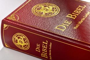 Julius Schnorr von Carolsfeld, Martin Luther: Die Bibel (Geschenkausgabe, Cabra-Leder) 
