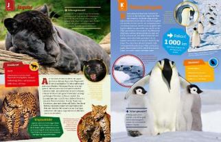 Andrea Weller-Essers: WAS IST WAS Geniale Tiere ... und ihre Tricks 