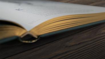 Ben Hoare, Daniel Long, Angela Rizza, Eva Sixt, Daniela Terrazzini, DK Verlag - Kids: Wundervolle Welt der Tiere 