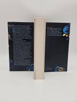 Christine Heinzius, Runyx: The Reaper – Du bist sein Untergang 