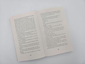 Christine Heinzius, Runyx: The Emperor – Du bist sein Schicksal 
