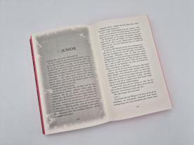 Vanessa Lamatsch, Navessa Allen: Rush In 