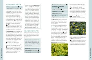 Ulrike Windsperger: Permakultur auf dem Balkon 