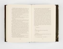 Julia Dippel: Izara 4: Verbrannte Erde 