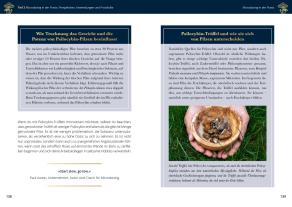 Mary Dannehl, Philip Rebensburg: Microdosing mit Psilocybin 