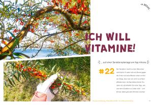 Cornelia Jeske, Monika Rößiger: 52 kleine & große Eskapaden auf und um Rügen 