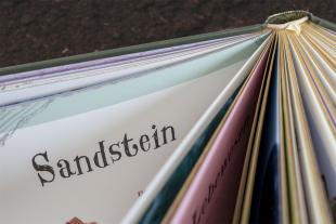 Ben Hoare, DK Verlag - Kids: Wundervolle Welt der Natur 