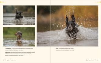 Regine Heuser, Heuser Regine: Hunde-Shooting - Fotografieren mit „Wau-Effekt“ 
