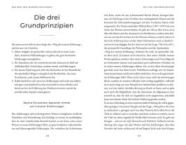 Christian Meyer: Erleuchtung kann jeder 