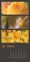 Horst Herzig, Tina Herzig: Die Farben der Natur Kalender 2026 