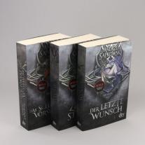 Andrzej Sapkowski, Erik Simon: Das Schwert der Vorsehung 