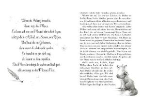 Sabine Bohlmann, Simona Ceccarelli: Ein Mädchen namens Willow 3: Flügelrauschen 