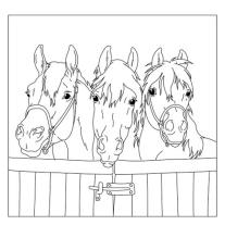 Christiane Slawik, Philipp Roß: Mein superdicker Pferdefreunde-Malblock 