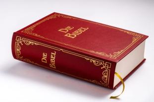 Julius Schnorr von Carolsfeld, Martin Luther: Die Bibel (Geschenkausgabe, Cabra-Leder) 