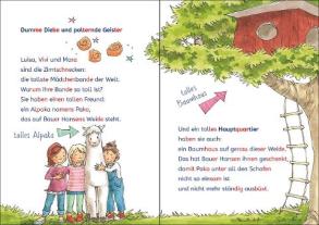 Carola Sturm, Eva Hierteis: Leselöwen 2. Klasse - Die Mädchenbande auf Geisterjagd 